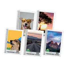 CADERNO ESPIRAL 1/4 40 FLS